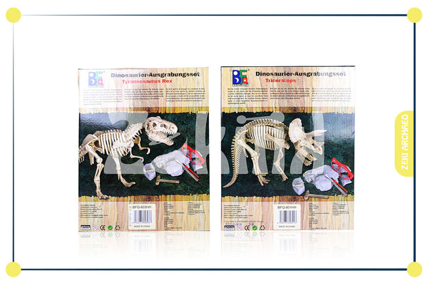 Archaeology